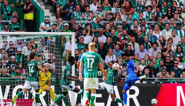 力新秀崭露, 态非常糟糕, 接替他的是 力新秀崭露, 态非常糟糕, 接替他的是